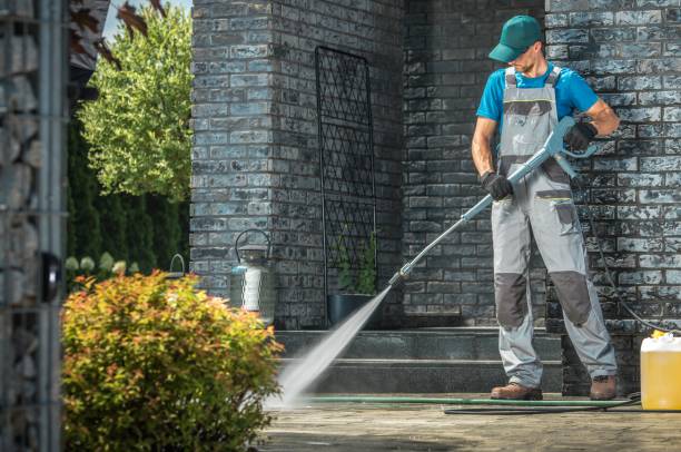 Best Roof Cleaning and Mildew Removal in Kempner, TX